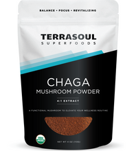 Chaga Mushroom Extract Powder