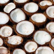 Coconut Flour