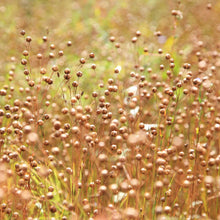 Flax Seeds (Brown)