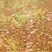Ground Golden Flax Seeds